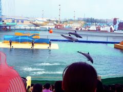 -秦皇岛乐岛海洋王国