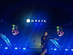 -花博汇(知音花月夜)