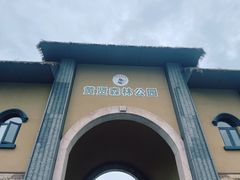 -黄贤森林公园