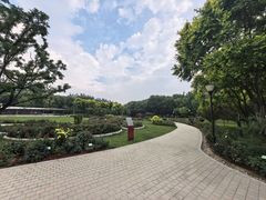 -大望京公园