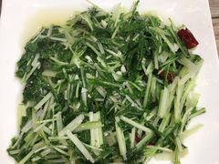 -马帮菜馆·美味野生菌