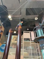 -卡通尼·Safari非洲探索乐园·生日会(金桥国际商业广场店)