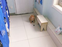 -纳吉亚猫专科动物医院博雅分院
