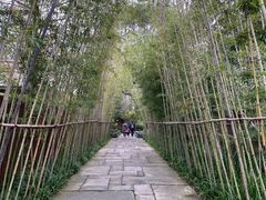 -新荣记(西溪湿地店)