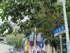 -三亚市第二中学