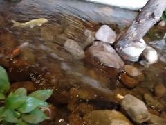 -山有花啡餐厅(常营总店)