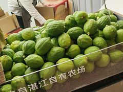 -introlemons(北京西单更新场店)