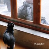 只有苏州才有这样的铁手咖啡局！