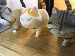 -猫十亿·布偶金渐层·曼基康矮脚猫舍(青年路店)