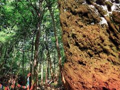 -七仙岭温泉国家森林公园