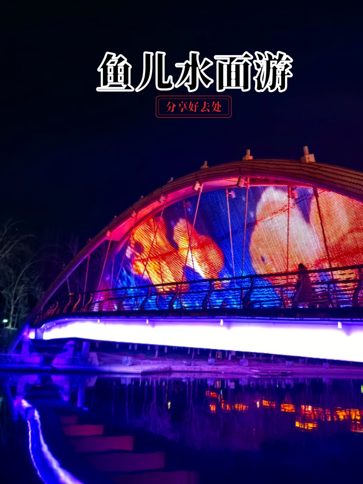通惠河上的灯光秀