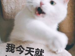 -韩复兴(新街口户部街店)