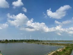 -盐城丹顶鹤湿地生态旅游区