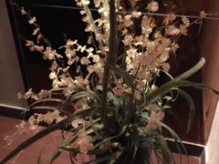 -薇爱精品时尚酒店(吴中店)