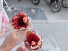 -和禄德冰糖葫芦