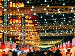 -东台西溪天仙缘景区