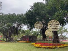 -万绿园