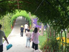 -南通洲际绿博园