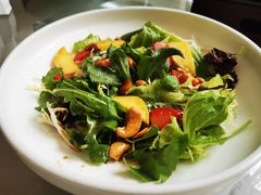 -食神鱼头佛跳墙(百子湾旗舰店)