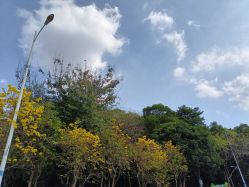 -番禺儿童公园