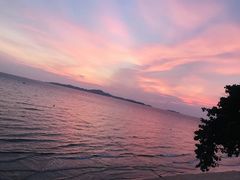 -卷心菜和避孕套餐厅(Pattaya)