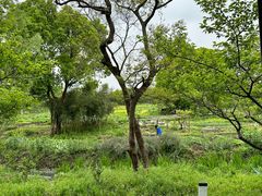 -广富林郊野公园