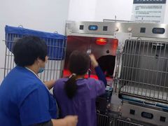 -萌兽医馆·绝育·24小时内科·宠物医院(德胜店)