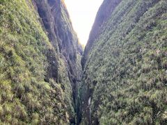 -江西龙虎山景区