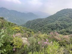 -大岭沟猕猴桃谷风景区