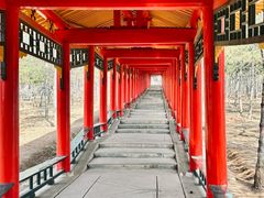 -乌素图国家森林公园