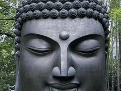 -杭州植物园