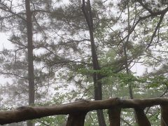 -罗田天堂寨风景区