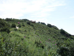 -野三坡百草畔景区