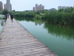 -前关湿地公园