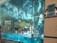 -帝企鹅自助餐厅•儿童岛•真企鹅(长隆企鹅酒店)