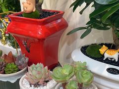 -MCJ-花店(西罗园店)