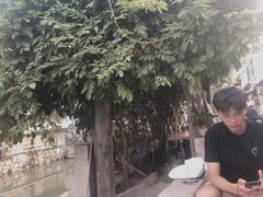 -八珍手工水饺·妈妈的爱(传芳巷店)
