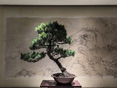 -扬州大运河文化旅游度假区·盆景园