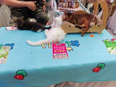 -鹏欣水游城