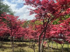 -东湖听涛景区