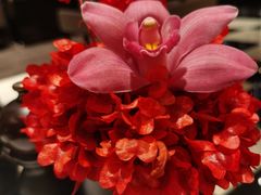 -重庆尼依格罗酒店·欣厨Niccolo Kitchen