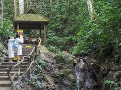 -西双版纳原始森林公园