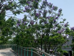 -宜家家居(高新商场店)