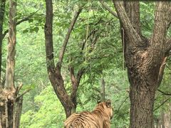 -秦皇岛野生动物园