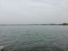 -南湖国家城市湿地公园