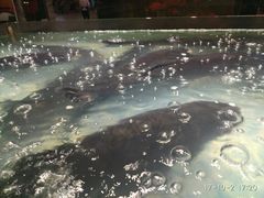 -森谷美食公园(杨行店)