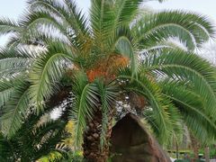 -苏州河梦清园环保主题公园