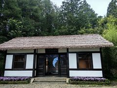 -庐山风景区花径公园