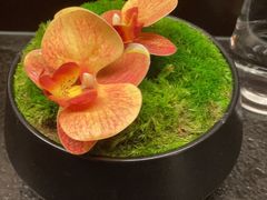 -潇湘楼·二十四节气山野菜(亚运村店)