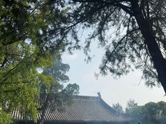 -洛阳白马寺